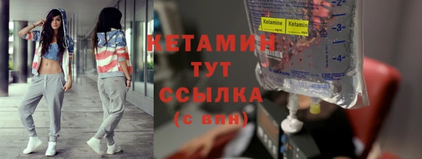 индика Дмитров