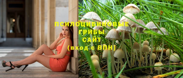 ешки Алзамай