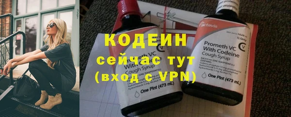 прущая мука Дмитриев