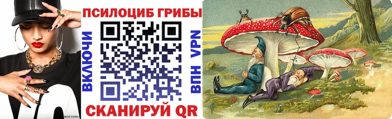 Галлюциногенные грибы Cubensis  сколько стоит  мега ссылки  Куртамыш 