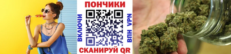 как найти наркотики  Куртамыш  Бошки марихуана Ganja 